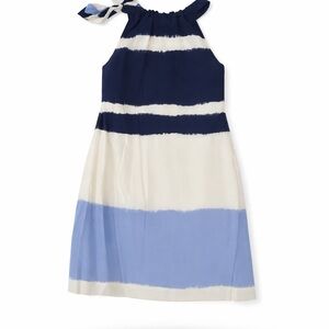 Banana Republic Navy and Light Blue Woman’s Dress